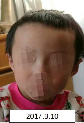 鸡巴操卵巢免费视频